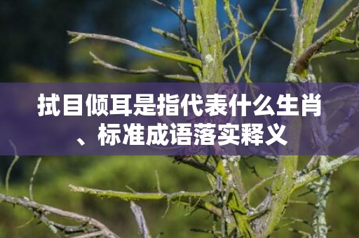 拭目倾耳是指代表什么生肖、标准成语落实释义