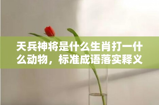 天兵神将是什么生肖打一什么动物，标准成语落实释义