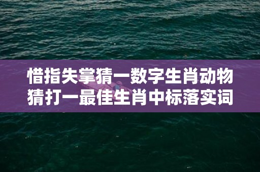 惜指失掌猜一数字生肖动物猜打一最佳生肖中标落实词意