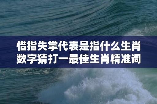 惜指失掌代表是指什么生肖数字猜打一最佳生肖精准词语释义落实插图