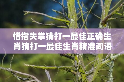 惜指失掌猜打一最佳正确生肖猜打一最佳生肖精准词语释义落实