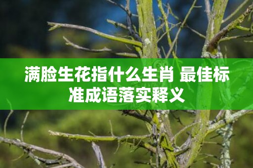 满脸生花指什么生肖 最佳标准成语落实释义