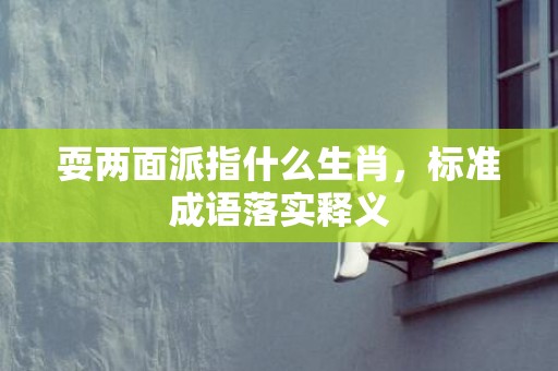 耍两面派指什么生肖，标准成语落实释义