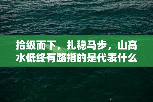 拾级而下，扎稳马步，山高水低终有路指的是代表什么生肖，最准成语释义解释