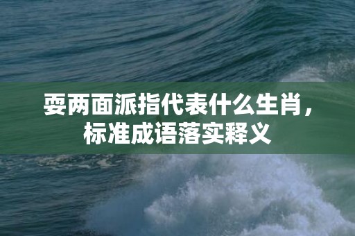 耍两面派指代表什么生肖，标准成语落实释义