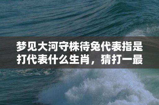 梦见大河守株待兔代表指是打代表什么生肖，猜打一最佳精准成语释义解释