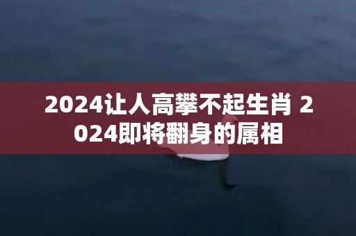 2024让人高攀不起生肖 2024即将翻身的属相