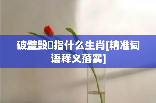 破璧毁珪指什么生肖[精准词语释义落实]