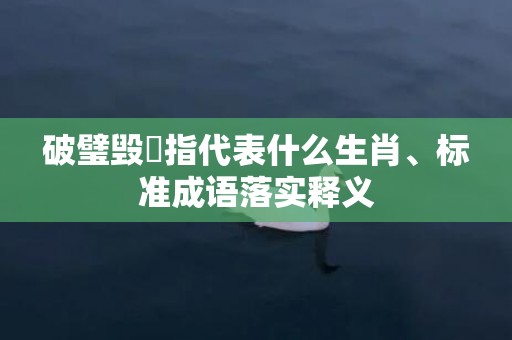 破璧毁珪指代表什么生肖、标准成语落实释义