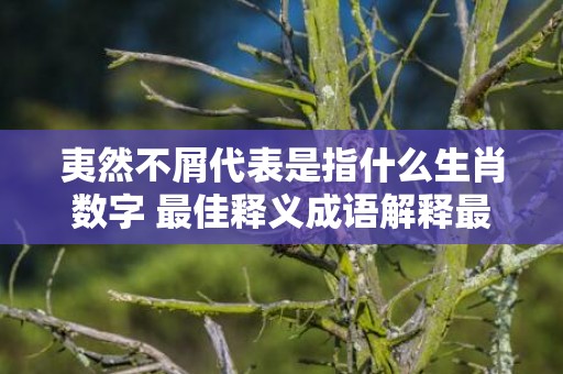 夷然不屑代表是指什么生肖数字 最佳释义成语解释最佳答