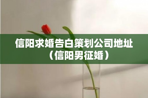 信阳求婚告白策划公司地址（信阳男征婚）