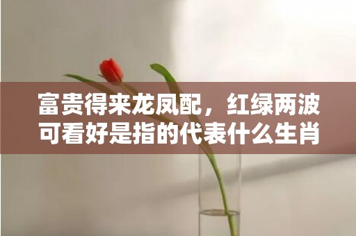 富贵得来龙凤配，红绿两波可看好是指的代表什么生肖，成语释义解释