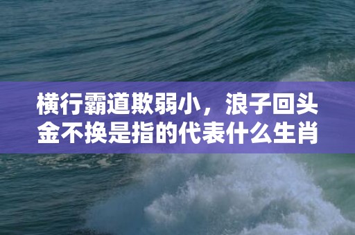 横行霸道欺弱小，浪子回头金不换是指的代表什么生肖，成语释义解释