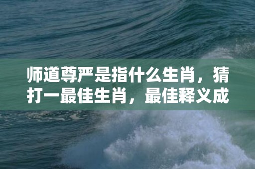 师道尊严是指什么生肖，猜打一最佳生肖，最佳释义成语解释最佳答