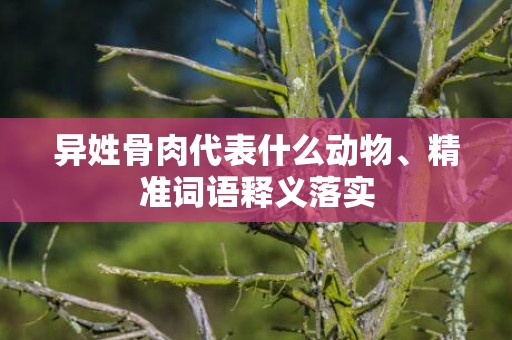 异姓骨肉代表什么动物、精准词语释义落实