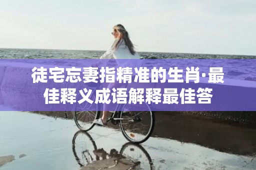 徒宅忘妻指精准的生肖·最佳释义成语解释最佳答