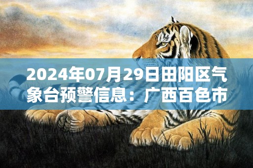 2024年07月29日田阳区气象台预警信息：广西百色市田阳区发布暴雨橙色预警