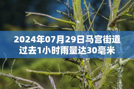 2024年07月29日马宫街道过去1小时雨量达30毫米