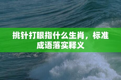 挑针打眼指什么生肖，标准成语落实释义