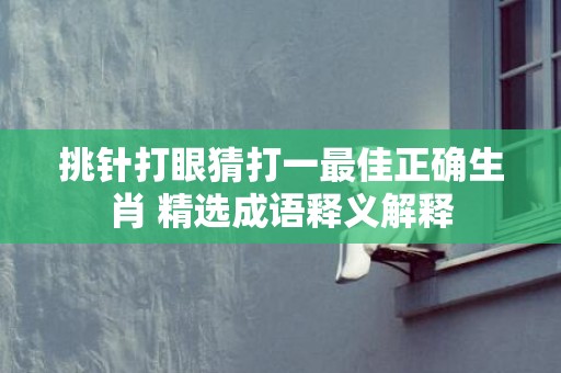 挑针打眼猜打一最佳正确生肖 精选成语释义解释