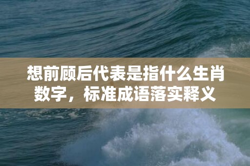 想前顾后代表是指什么生肖数字，标准成语落实释义