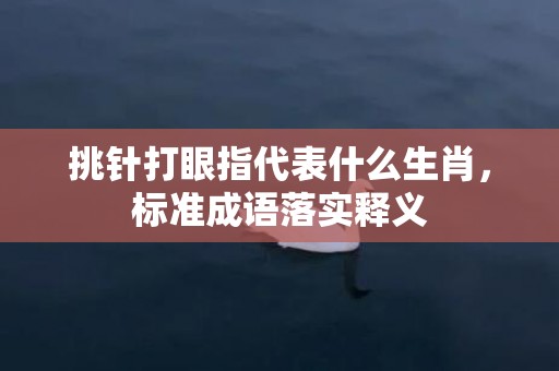 挑针打眼指代表什么生肖，标准成语落实释义