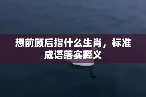 想前顾后指什么生肖，标准成语落实释义