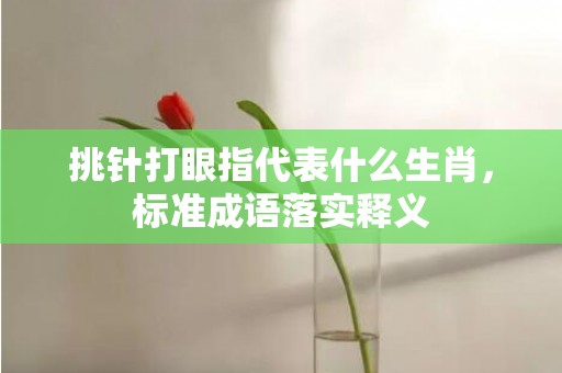 挑针打眼指代表什么生肖，标准成语落实释义