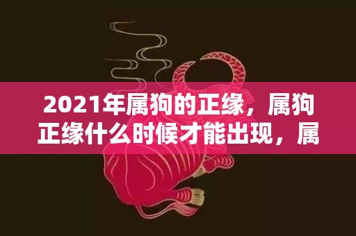 2021年属狗的正缘，属狗正缘什么时候才能出现，属狗2024年有大喜缠身