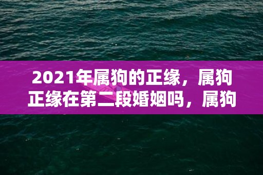 2021年属狗的正缘，属狗正缘在第二段婚姻吗，属狗注定的姻缘是