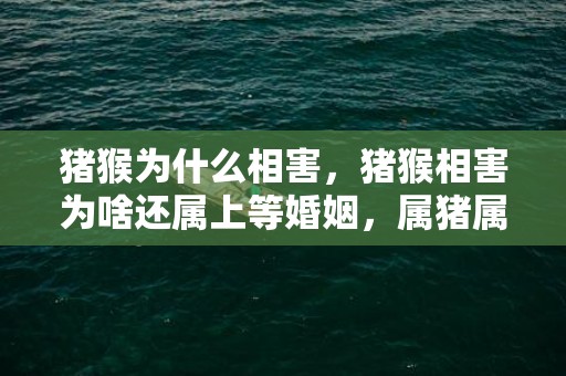 猪猴为什么相害，猪猴相害为啥还属上等婚姻，属猪属猴的配对优缺点