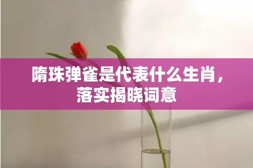 隋珠弹雀是代表什么生肖，落实揭晓词意