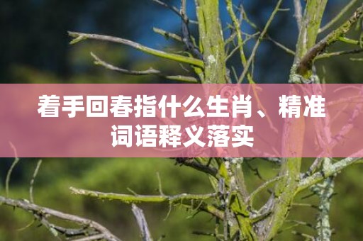 着手回春指什么生肖、精准词语释义落实