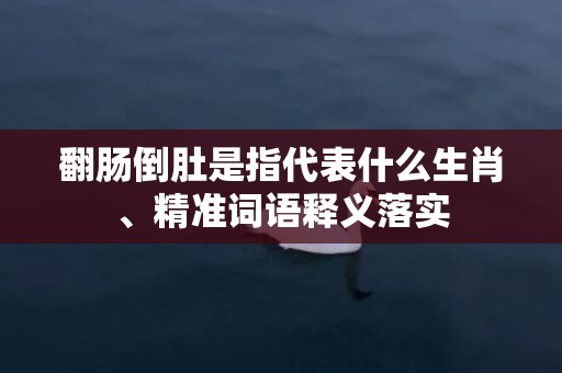 翻肠倒肚是指代表什么生肖、精准词语释义落实