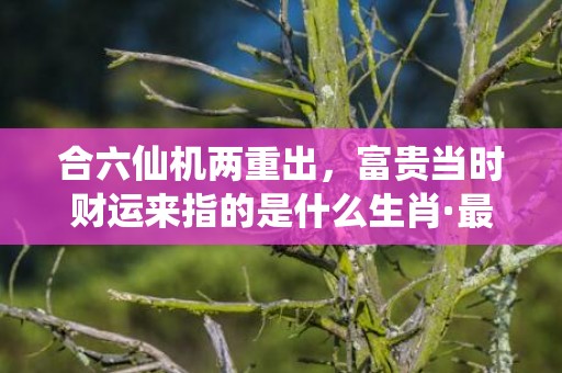 合六仙机两重出，富贵当时财运来指的是什么生肖·最佳释义成语解释最佳答