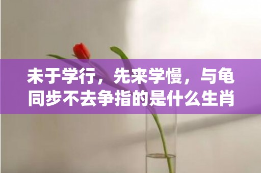 未于学行，先来学慢，与龟同步不去争指的是什么生肖|标准成语落实释义