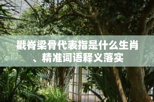 戳脊梁骨代表指是什么生肖、精准词语释义落实