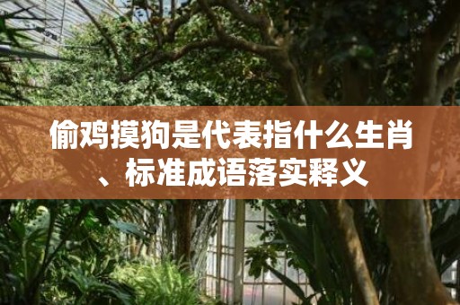 偷鸡摸狗是代表指什么生肖、标准成语落实释义