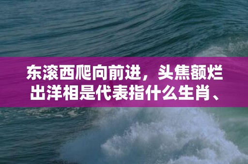 东滚西爬向前进，头焦额烂出洋相是代表指什么生肖、标准成语落实释义