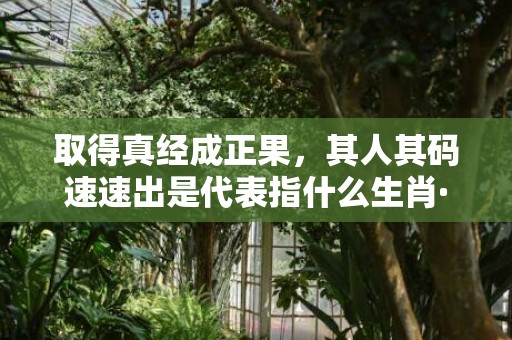 取得真经成正果，其人其码速速出是代表指什么生肖·标准成语落实释义