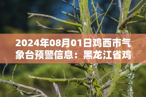 2024年08月01日鸡西市气象台预警信息：黑龙江省鸡西市发布雷电黄色预警