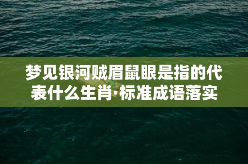 梦见银河贼眉鼠眼是指的代表什么生肖·标准成语落实释义