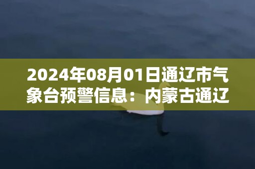 2024年08月01日通辽市气象台预警信息：内蒙古通辽市发布雷电黄色预警