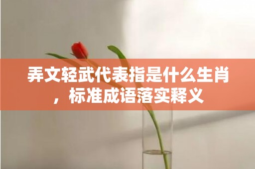 弄文轻武代表指是什么生肖，标准成语落实释义