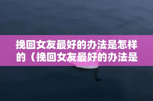 挽回女友最好的办法是怎样的（挽回女友最好的办法是怎样的说说）