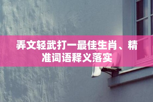 弄文轻武打一最佳生肖、精准词语释义落实