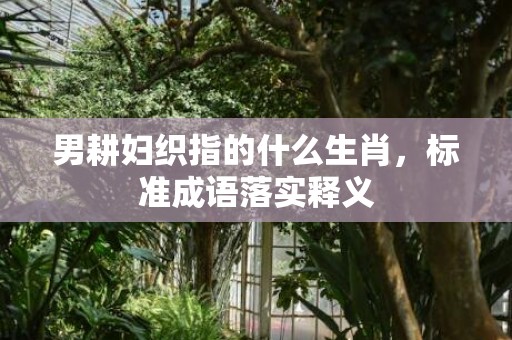 男耕妇织指的什么生肖，标准成语落实释义