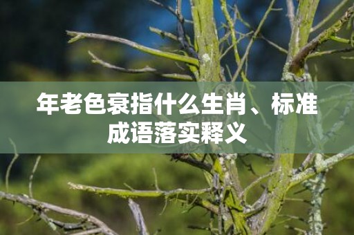 年老色衰指什么生肖、标准成语落实释义