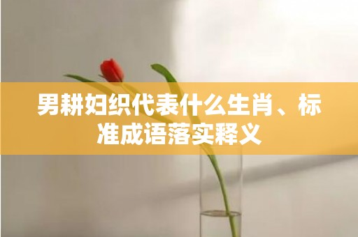 男耕妇织代表什么生肖、标准成语落实释义