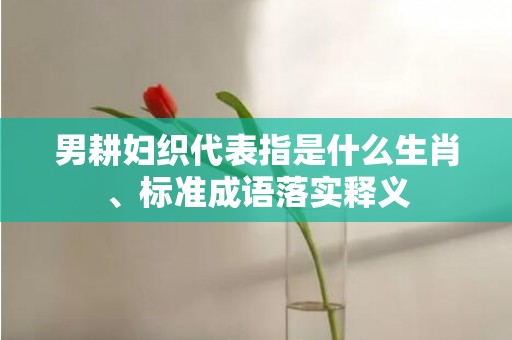 男耕妇织代表指是什么生肖、标准成语落实释义